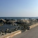 착한참기름 | [ 경북 영덕 강구항 오션뷰 맛집 추천 ] 착한 대게 코스요리 후기