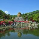 와우정사 이미지