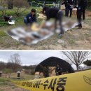 개랑, 마리 이미지