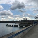 코히마르 이미지