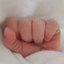 청주미즈맘산부인과의원 네이버블로그