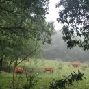 평전농장 이미지