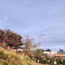 쉼표그린 이미지