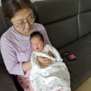 권유연