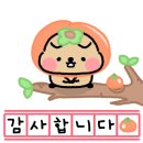 안양김준동물병원 이미지