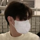 버즈핏 이미지