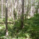 대화농장 이미지