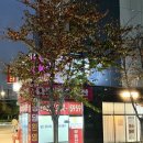 지에스25 마포구청역 이미지