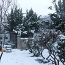 정읍농장 이미지