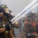 석계초등학교 정문 이미지