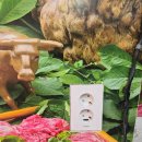 우리동네고기촌 이미지