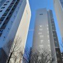 강산입찰