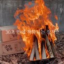 캠핑 불의 질을 높여주는 조선땔감 참나무 장작 내돈내산 사용 후기
