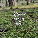 지인심캘리그라피 이미지