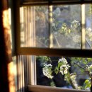 햇살가득 이미지