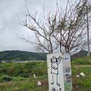 해동농장 | [고창 새우/내돈내산] 캠핑 중에 인생 냉동새우 구한 썰! (단새우농장)