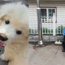 옥구지구대 이미지