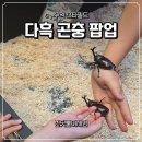 반딧불이어린이집 | 수원 스타필드 아이랑 반딧불이 체험 다녀왔어요 (다흑 팝업)