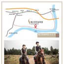 대전승마장 이미지
