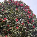 세븐일레븐 부산사직쌍용점 | 부산 사직야구장 중앙탁자석 32블럭 3열 20번 21번 시야