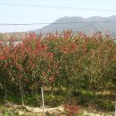 생명농장 이미지