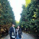 대유목장 이미지