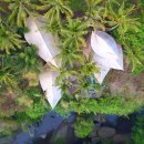 정글 게스트하우스 이미지