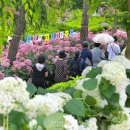 문화근린(상)공원 이미지