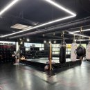 용인대 SM복싱 14관 이미지