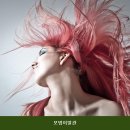 강남역 미용실 모범이발관 시설 깔끔 한 곳의 이용 비용 안내