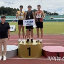 경주시청-4 이미지