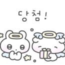 콩킨누스 - 215937 | 콩킨누스