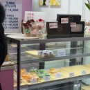 윤스마카롱 | 부천역 두쫀쿠 맛집 윤스마카롱 웨이팅 후기