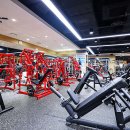 은평투엑스휘트니스