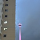 굿올데이즈호텔 | [부산] 굿올데이즈 호텔 숙박 후기