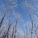 거두2리 이미지