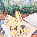 (주)한국반려동물아카데미 이미지