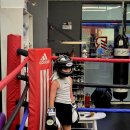 레드복싱 이미지