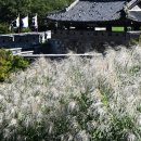 억새어린이공원 이미지