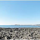 3코스(온평포구 ~ 표선) 이미지