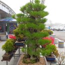 태안휴게소 이미지