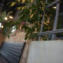 승기농장 이미지