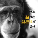 `Netizen 신비동물의 왕국` 2017. 10. 22(일요특집) 이미지