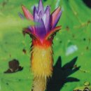 강릉부동산 강릉사랑공인중개사사무소 이미지