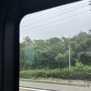 안심다온약국 이미지