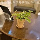 메리엇 이그제큐티브 아파트먼트 서울 | 영등포호텔 메리어트 이그제큐티브 아파트먼트 서울 깔끔한 객실 후기