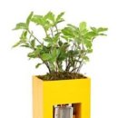 모아개발 이미지