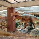 우석헌자연사박물관 이미지