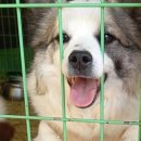 정기사료 이미지