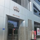 호매실 엔루체(아) | 수원 호매실동 속눈썹펌 눈썹문신 단골예약 눈집